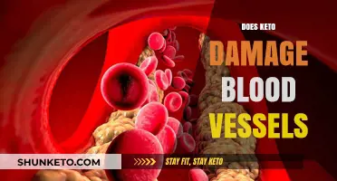 Keto and Vascular Health: Does the Diet Harm Blood Vessels?