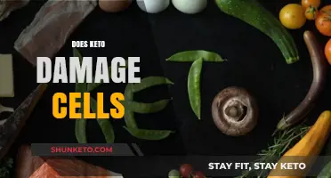 Does Keto Damage Cells? Unraveling the Truth Behind the Diet