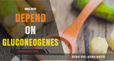 Does Keto Rely on Gluconeogenesis for Energy and Fat Loss?