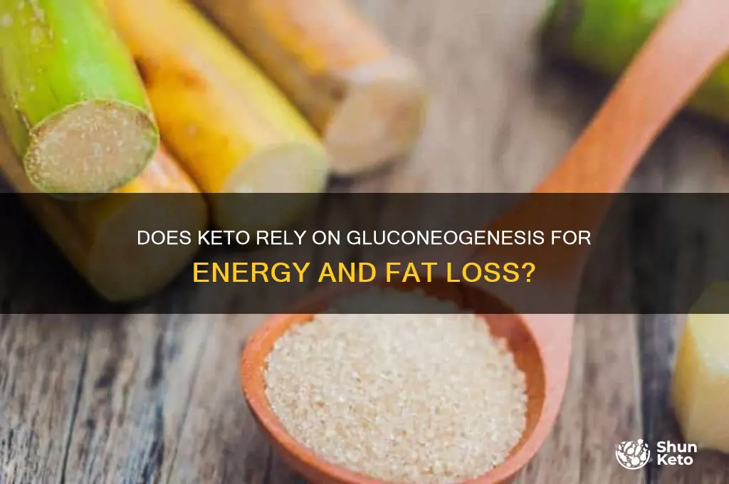 does keto depend on gluconeogenesis