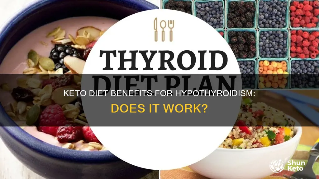 does keto diet work for hypothyroidism