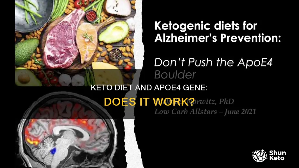 does keto diet work in apoe4