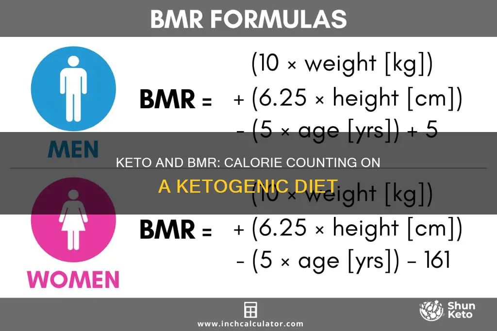 does keto give you your bmr calories for the day