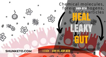 Can Keto Diet Repair Leaky Gut? Exploring the Gut-Healing Potential