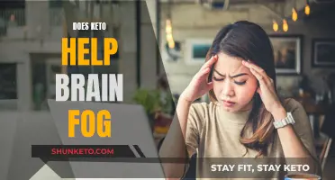 Keto Diet: Brain Fog Buster or Myth?