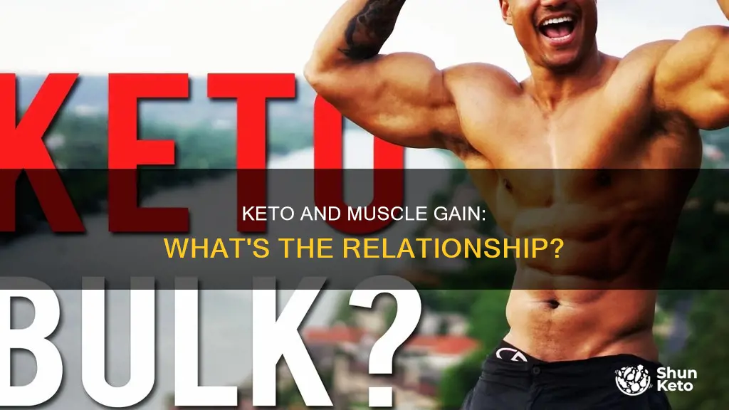 does keto help build muscle