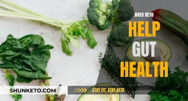 Keto and Gut Health: Exploring the Connection