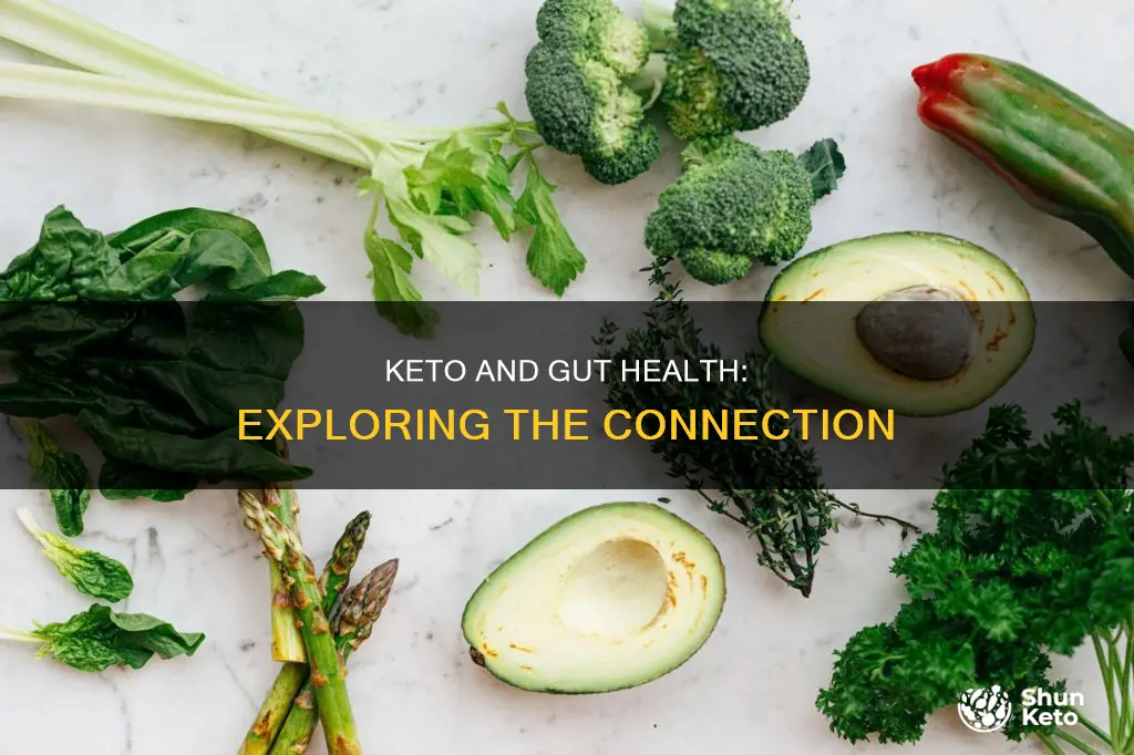 does keto help gut health