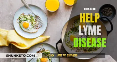 Keto Diet's Impact on Lyme Disease Symptoms