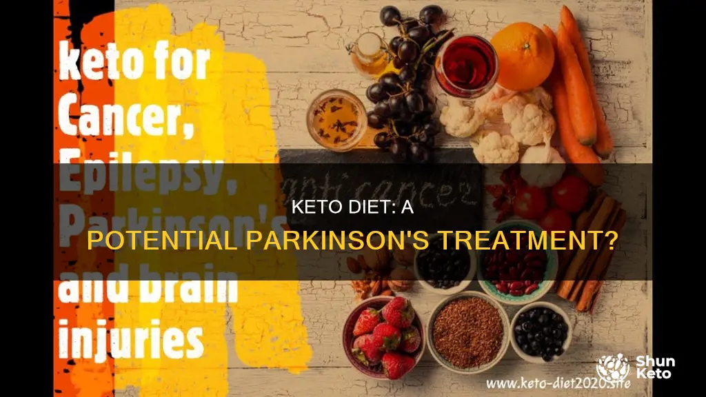 does keto help parkinson