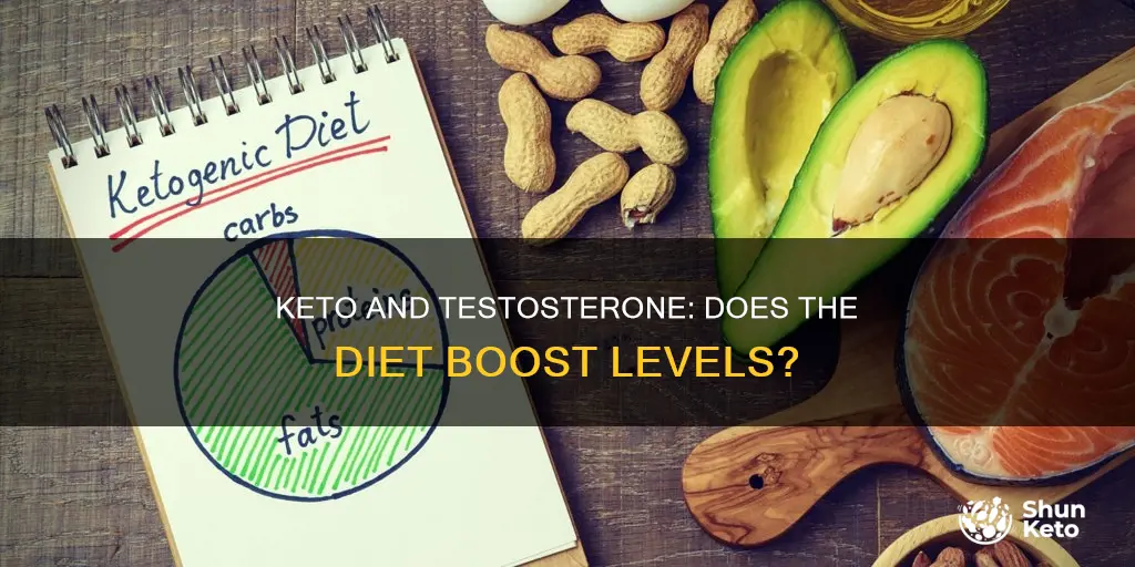 does keto help testosterone