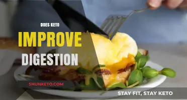 Keto Diet and Digestion: Enhancing Gut Health or Hindering It?