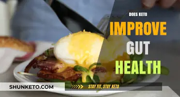 Keto and Gut Health: Unlocking Digestive Benefits or Myth?