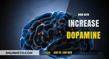 Keto and Dopamine: Unlocking the Brain's Reward System on a Low-Carb Diet