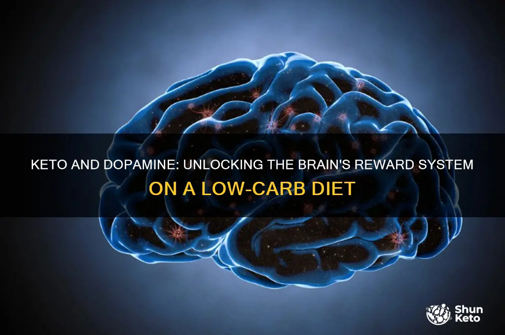 does keto increase dopamine