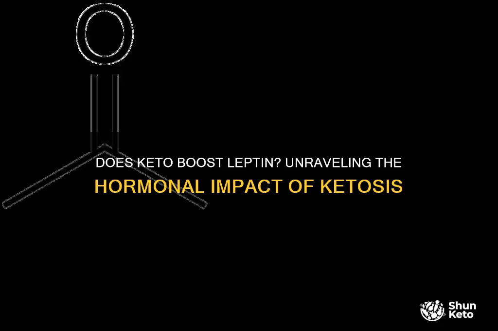 does keto increase leptin