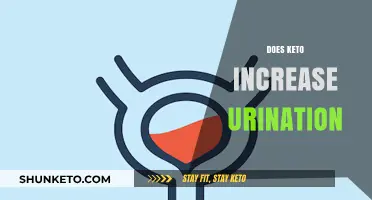 Does Keto Increase Urination? Understanding the Diet's Impact on Frequency