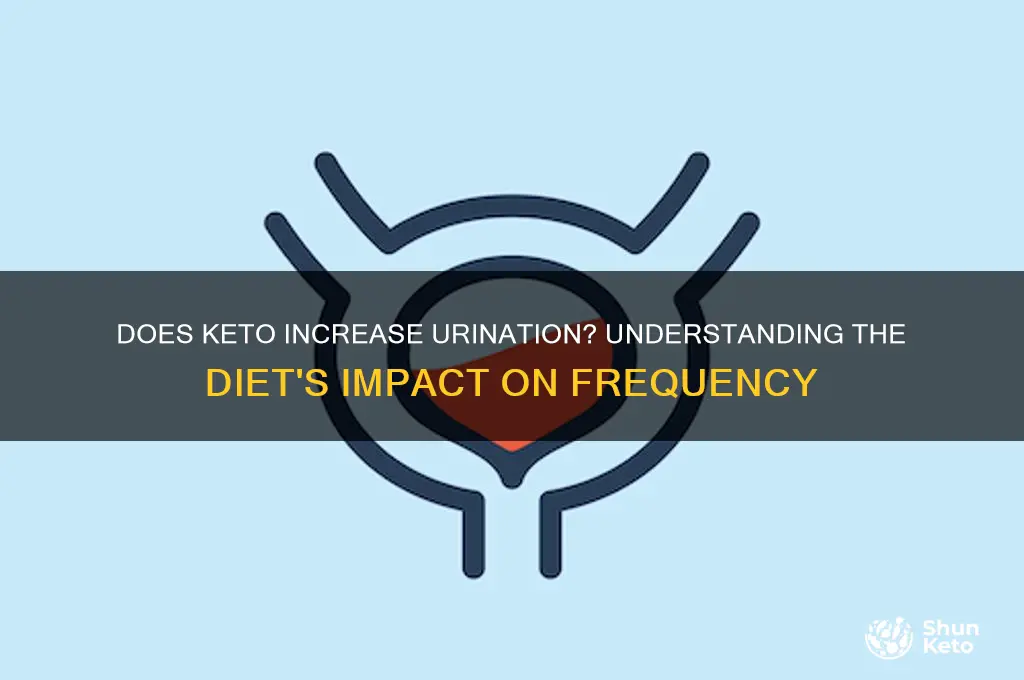 does keto increase urination