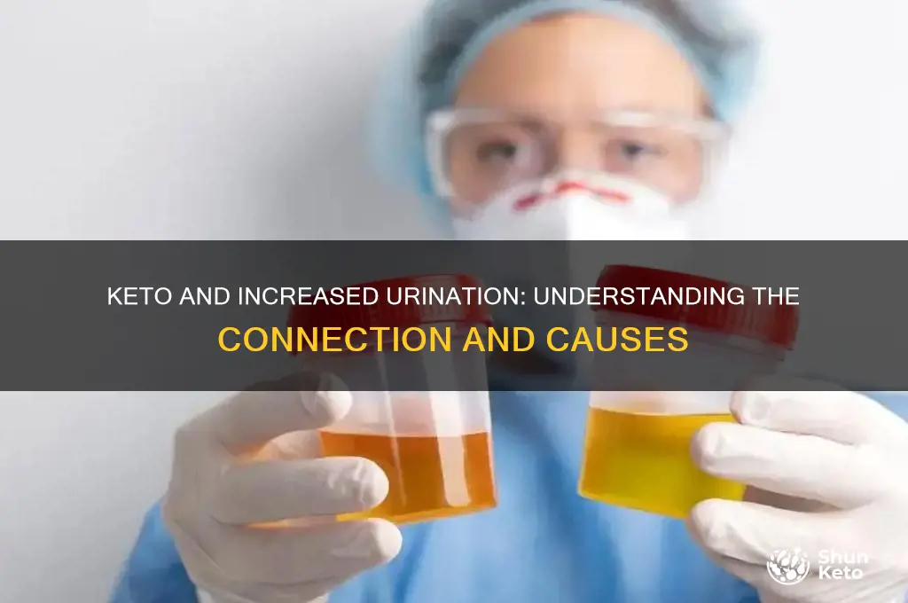 does keto increase urine output