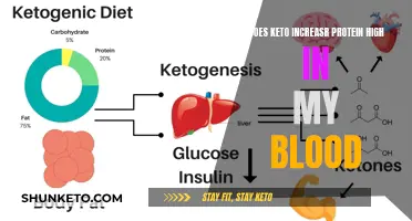 Keto Diet: Protein Increase and Blood Health