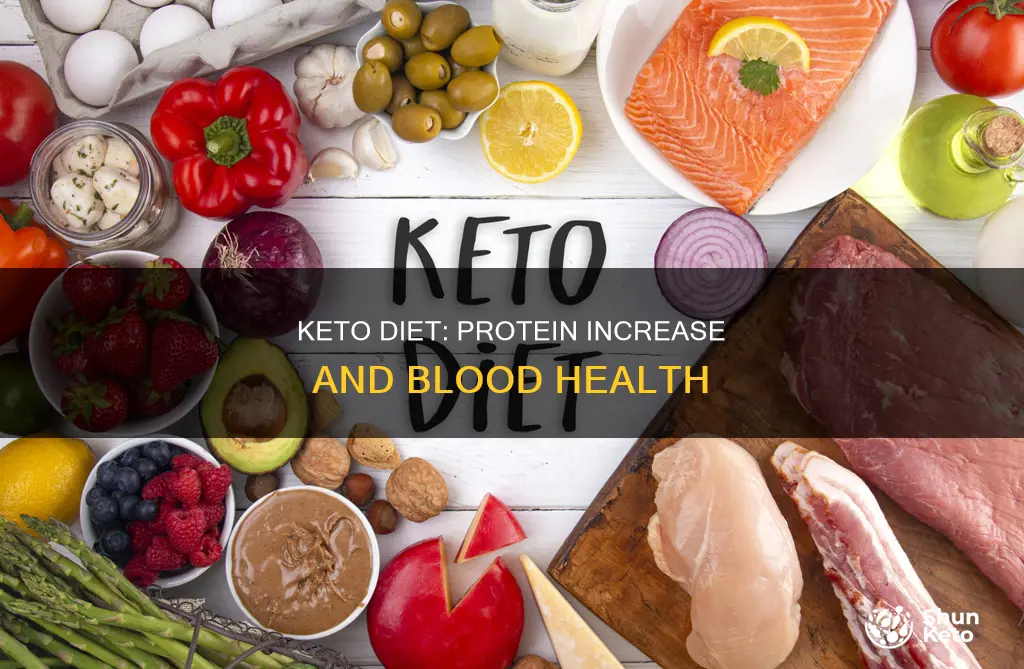 does keto increasr protein high in my blood