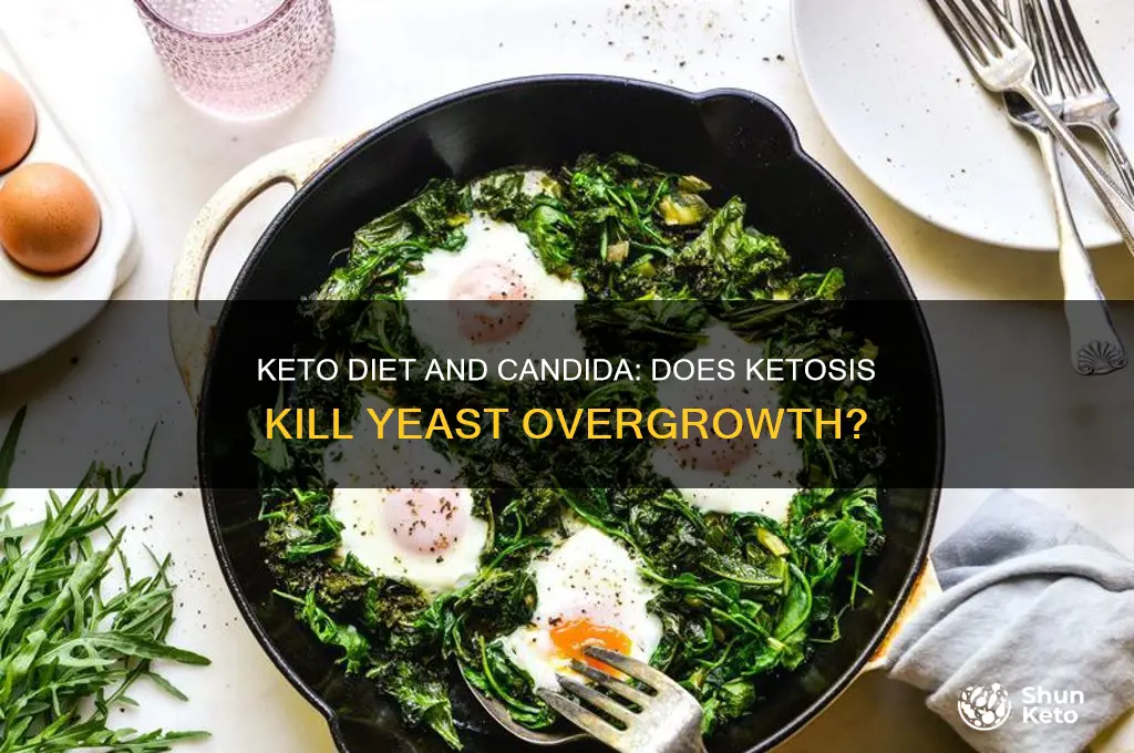 does keto kill candida