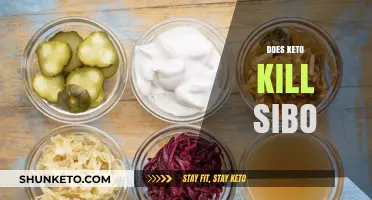 Keto and SIBO: Unraveling the Diet's Impact on Gut Health