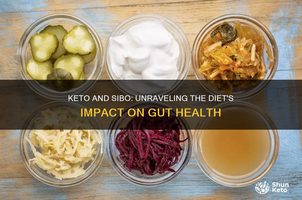 does keto kill sibo