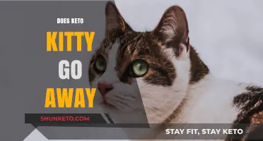 Does Keto Kitty Go Away? Understanding and Managing Feline Ketosis