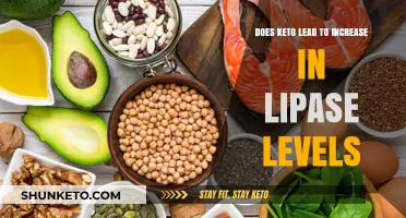 Keto Diet and Lipase Levels: Understanding the Connection and Impact