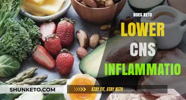 Keto Diet's Impact: Reducing CNS Inflammation Explained