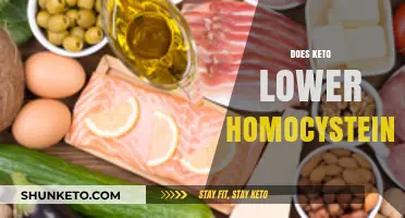 Keto Diet and Homocysteine: Exploring the Potential Impact on Levels