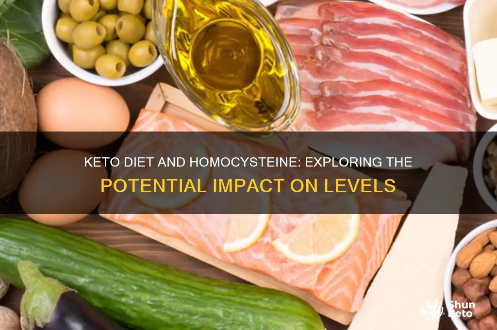 does keto lower homocysteine
