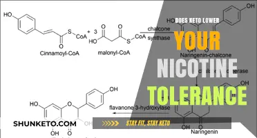Keto Diet's Impact: Does It Lower Your Nicotine Tolerance?