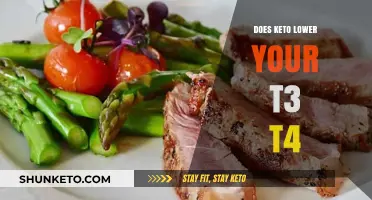 Keto Diet Impact: How It Affects T3 and T4 Levels Explained