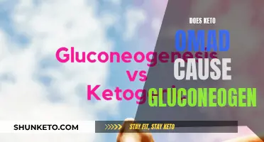 Keto OMAD and Gluconeogenesis: What's the Link?