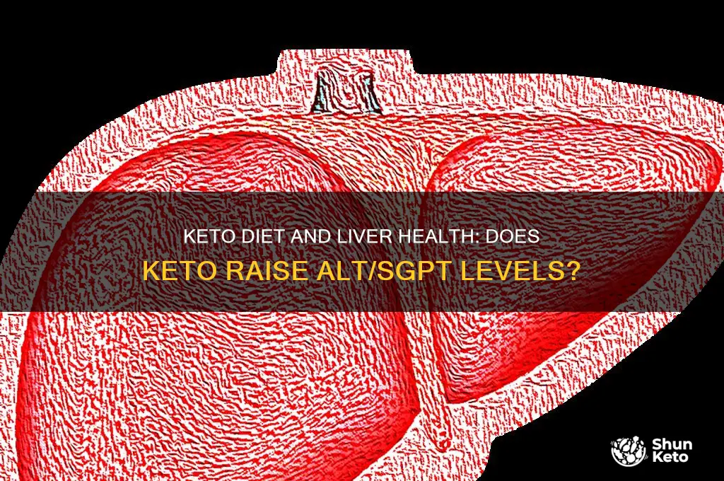 does keto raise alt sgpt