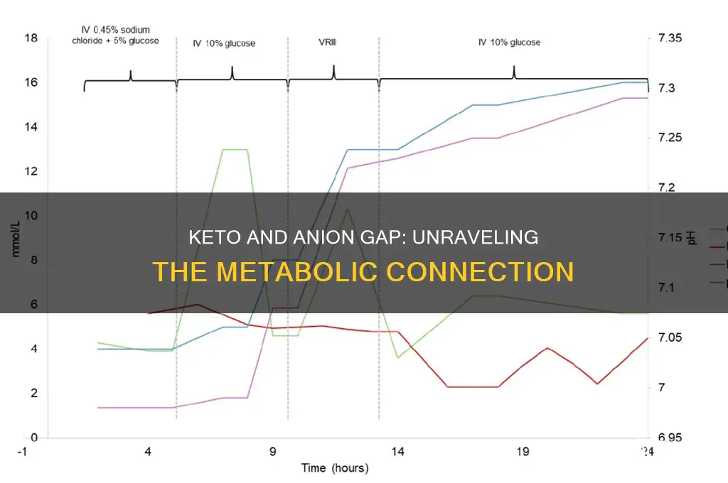 does keto raise anion gap