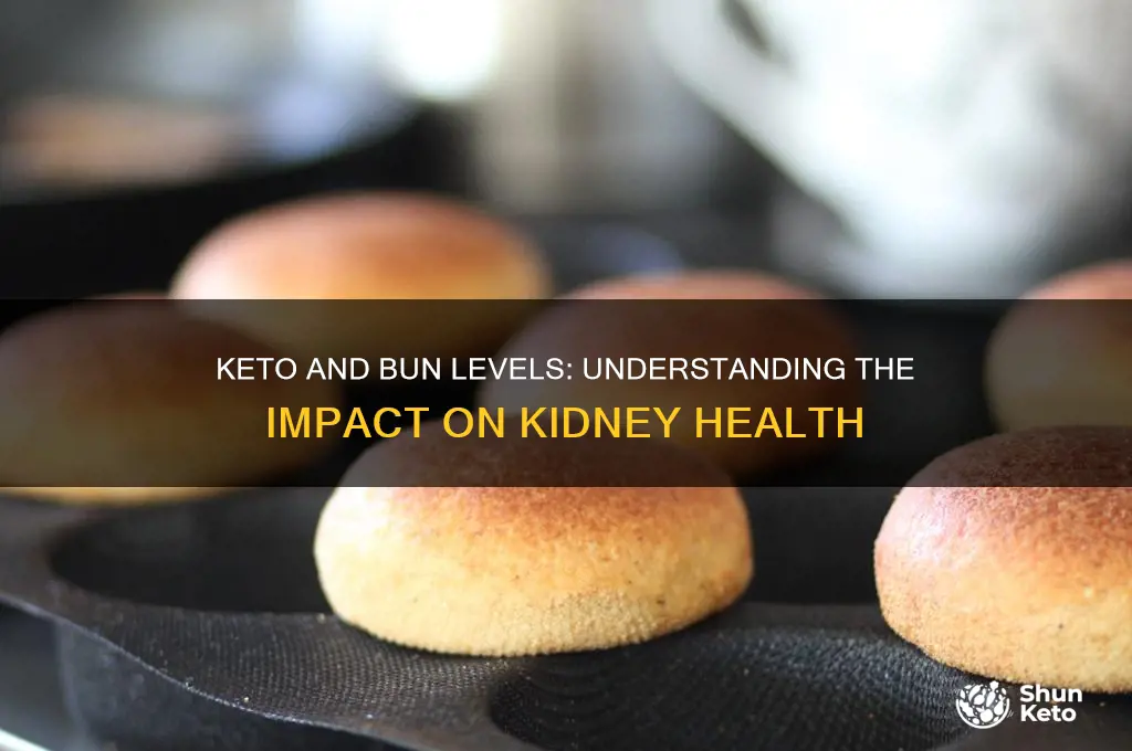 does keto raise bun levels