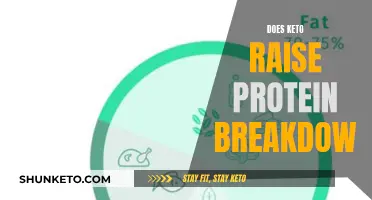 Keto and Protein Breakdown: What's the Real Deal?