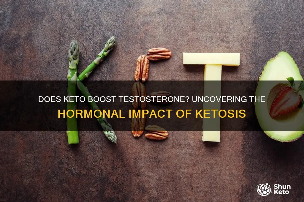 does keto raise testoserone