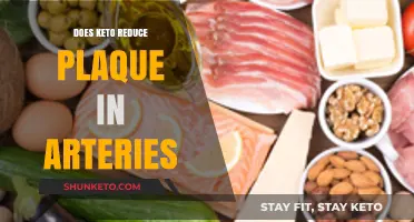 Keto Diet and Arterial Health: Can It Reduce Plaque Buildup?