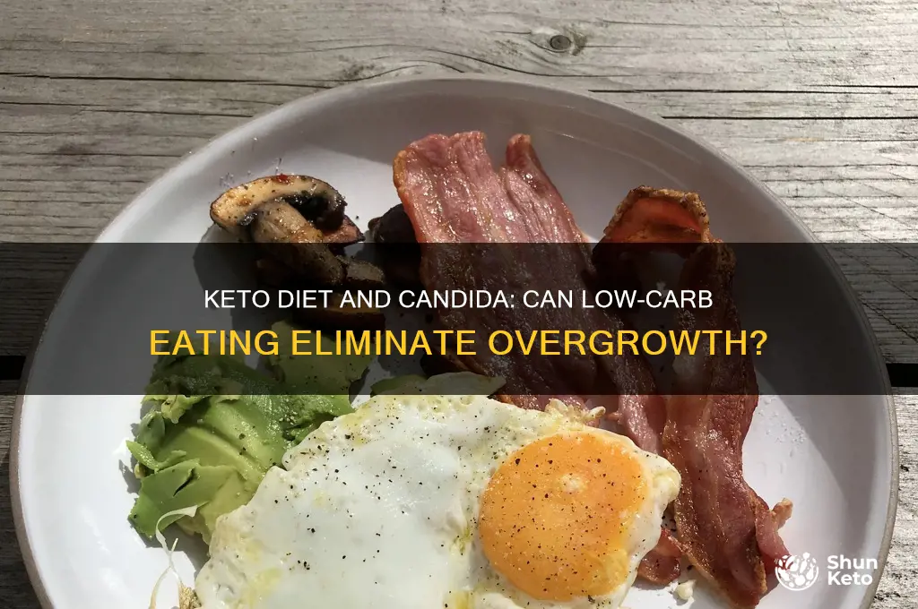 does keto remove candida