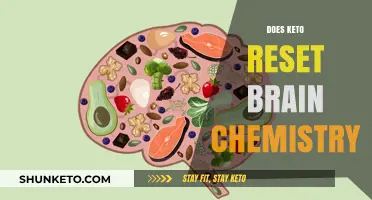 Can Keto Reset Brain Chemistry? Unlocking Cognitive Potential Through Diet