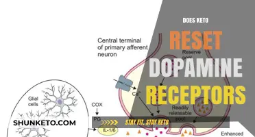 Keto and Dopamine Receptors: Unraveling the Brain's Reward System Reset