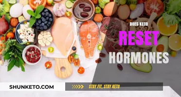 Keto and Hormonal Balance: Can the Diet Reset Your Hormones?
