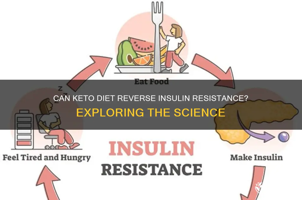 does keto reverse insulin resistance