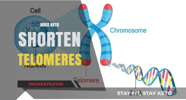 Keto and Telomere Length: Unraveling the Aging Connection