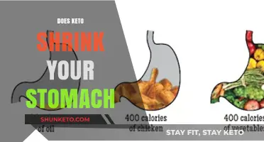 Can Keto Diet Reduce Stomach Size? Facts and Myths Explained