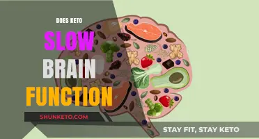Does Keto Impact Brain Function? Exploring the Cognitive Effects of Ketosis